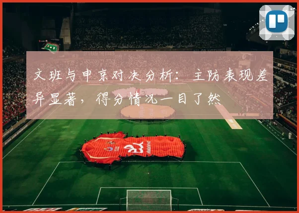 文班与申京对决分析：主防表现差异显著，得分情况一目了然