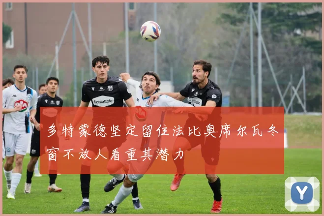 多特蒙德坚定留住法比奥席尔瓦冬窗不放人看重其潜力